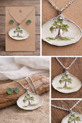 Cypress Collection